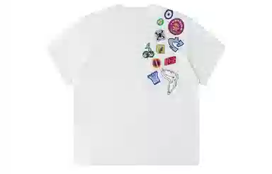 ICONS Lab ICS T