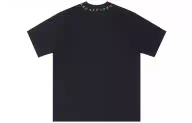 FOASIS logo T