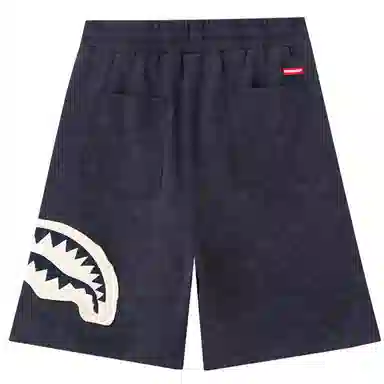 Sprayground Shorts