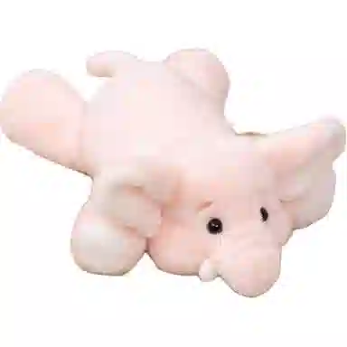 11cm16cm