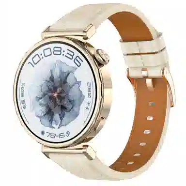 Antey 200mm watch gt5