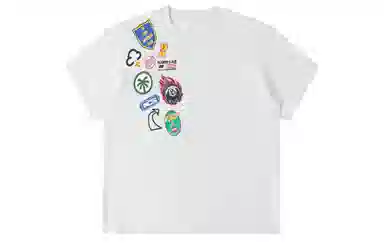 ICONS Lab ICS T