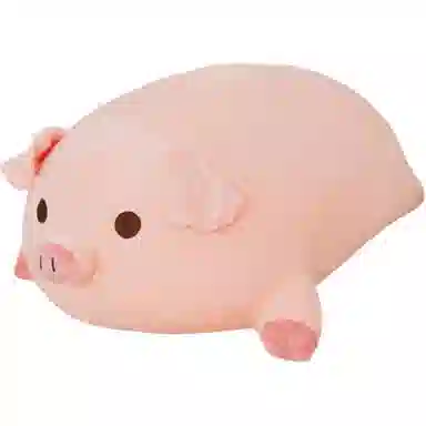 40cm50cm60cm80cm100cm