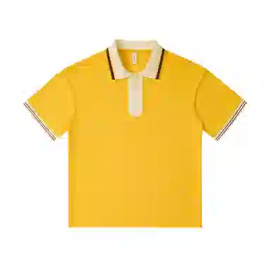 WOKXSS Polo