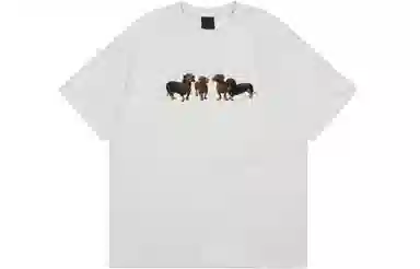 FOASIS T