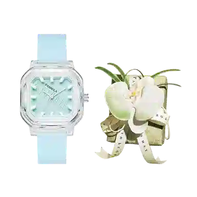 PML0618HYNL