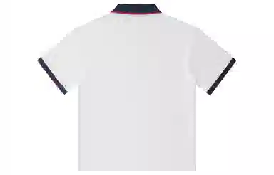 WOKXSS Polo