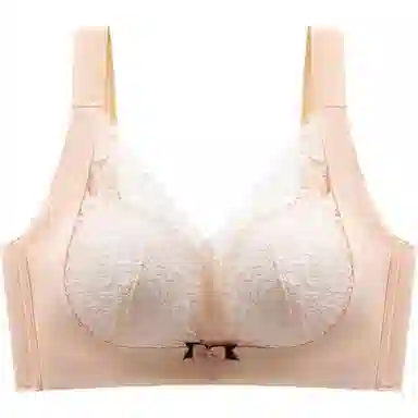 黛尔佳人 性感无痕内衣女小胸聚拢收副乳防下垂胸罩爆款无钢圈文胸 女款