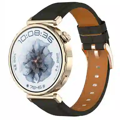Antey 200mm watch gt5