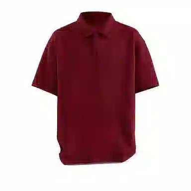 AMBER LIGHT POLOPolo