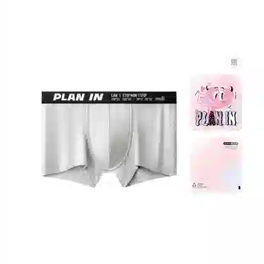 PLAN IN