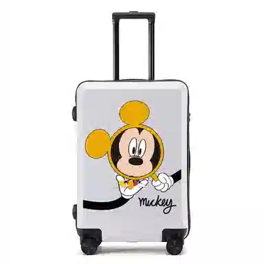 MESUCA ABS+PC 20242622