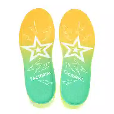 FACTORIAL 628proZOOMAJ