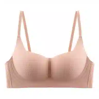 黛尔佳人 内衣女小胸聚拢显大无痕无钢圈收副乳软支撑上托防下垂胸罩文胸 女款