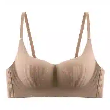 黛尔佳人 内衣女小胸聚拢显大无痕无钢圈收副乳软支撑上托防下垂胸罩文胸 女款