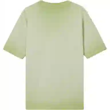 levis T