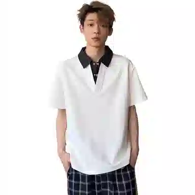 PAINT STAIN Polo