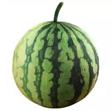 3D 9cm23cm33cm