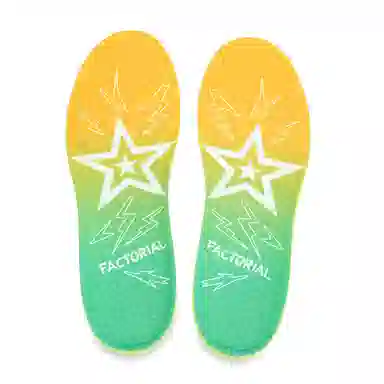 FACTORIAL 628proZOOMAJ