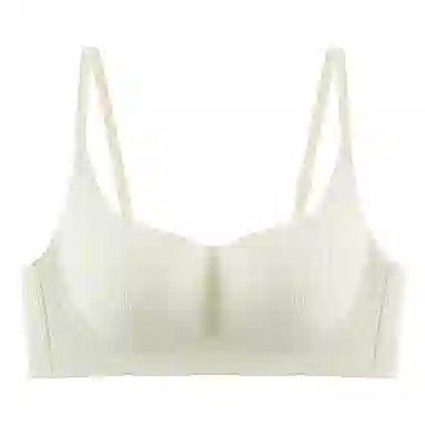 黛尔佳人 内衣女小胸聚拢显大无痕无钢圈收副乳软支撑上托防下垂胸罩文胸 女款