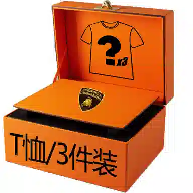 Automobili Lamborghini logoT