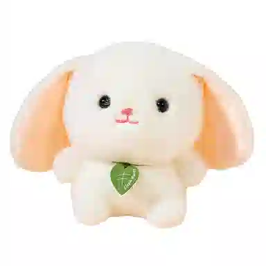 15cm
