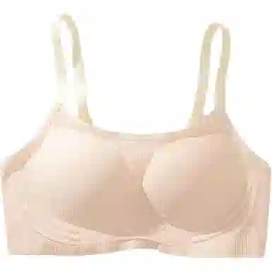 黛尔佳人 无钢圈无痕内衣云朵学生少女小胸聚拢上托运动轻甜美透气内衣文胸 女款