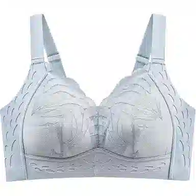 黛尔佳人 大胸显小聚拢超薄透气聚拢上托胸罩收副乳无痕蕾丝防下垂内衣文胸 女款