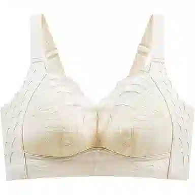 黛尔佳人 大胸显小聚拢超薄透气聚拢上托胸罩收副乳无痕蕾丝防下垂内衣文胸 女款