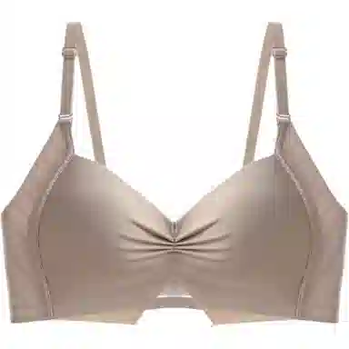黛尔佳人 内衣女士胸罩大胸显小胸聚拢收副乳上托防下垂无钢圈无痕文胸 女款