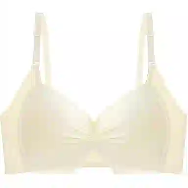 黛尔佳人 内衣女士胸罩大胸显小胸聚拢收副乳上托防下垂无钢圈无痕文胸 女款