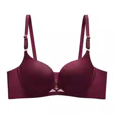 黛尔佳人 法式上托高奢缎面无痕聚拢舒适调整型胸罩透气小胸夏季文胸 女款