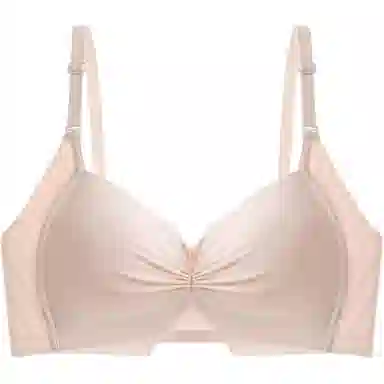 黛尔佳人 内衣女士胸罩大胸显小胸聚拢收副乳上托防下垂无钢圈无痕文胸 女款