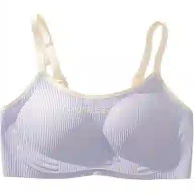 黛尔佳人 无钢圈无痕内衣云朵学生少女小胸聚拢上托运动轻甜美透气内衣文胸 女款