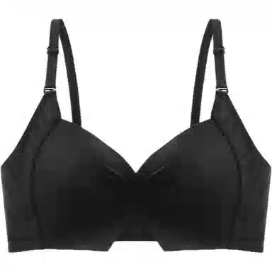 黛尔佳人 内衣女士胸罩大胸显小胸聚拢收副乳上托防下垂无钢圈无痕文胸 女款