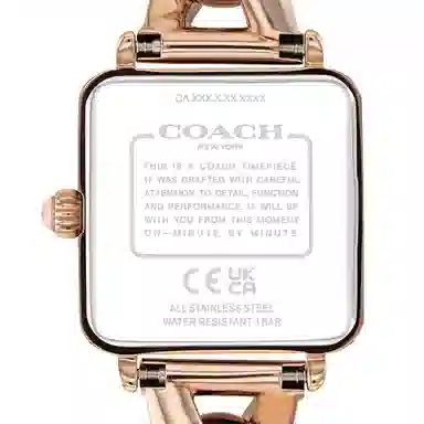 COACH Cass 30