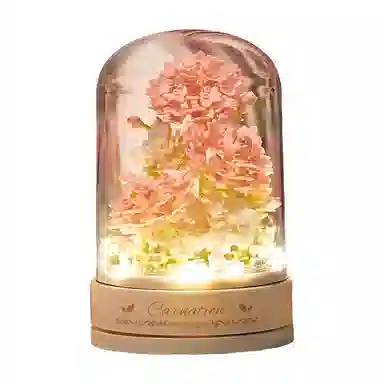 601-1000pcs DMY-JM-02