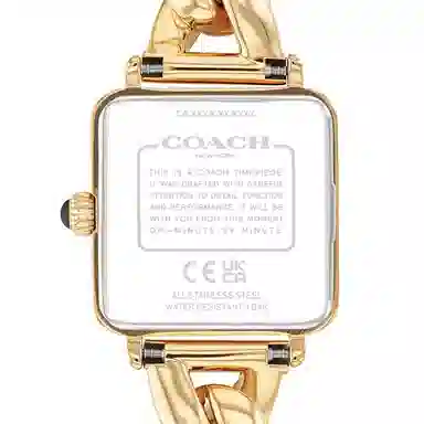 COACH Cass 30