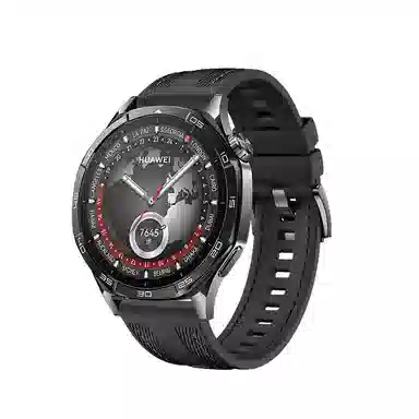 WP + GT543watch446mm