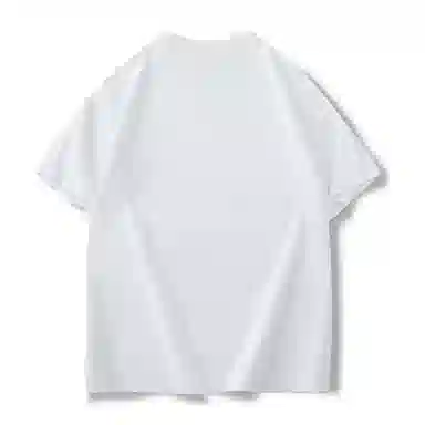 RTVH T