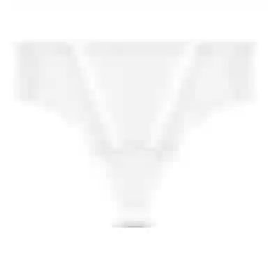 二三二三 抑菌云感棉裆部舒适亲肤纯欲丁字三角裤裸感高弹纯色透气不夹臀内裤 女款 组合装