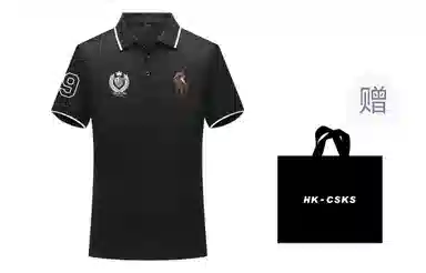 CSKS LogoPoloPOLO