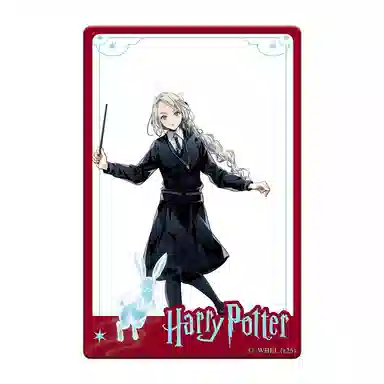 HARRY POTTER PVC