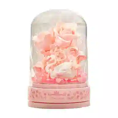 601-1000pcs DMY-JM-02