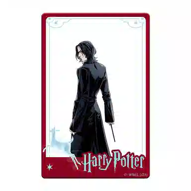 HARRY POTTER PVC