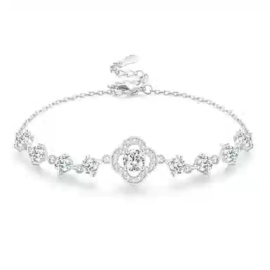 CAREBEARS S925