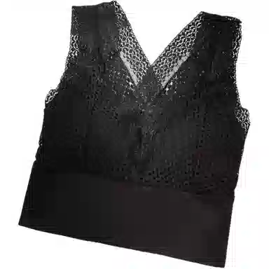 ALPLUME V