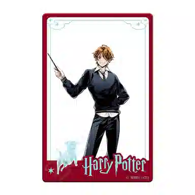HARRY POTTER PVC