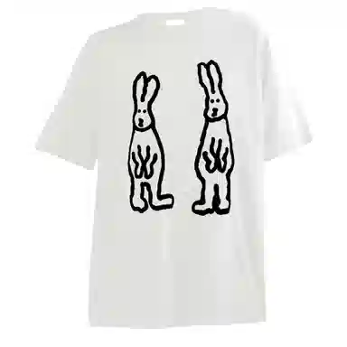 FOASIS T