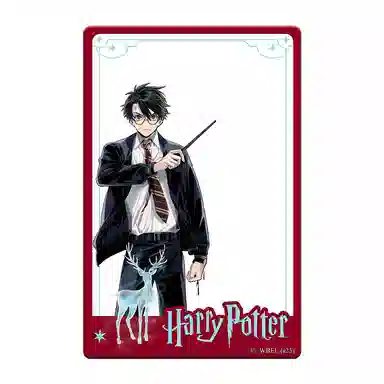 HARRY POTTER PVC